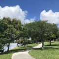 Discovering the Hidden Gems of Palm Beach County, FL